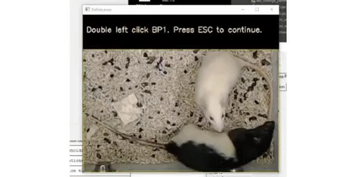 _images/New_pose_config.gif