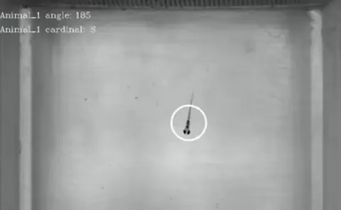 Circular feature plotter