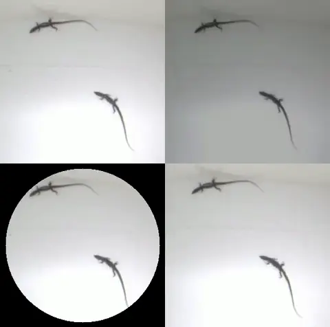 Crossfade two videos