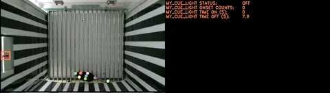 Cue light visualizer