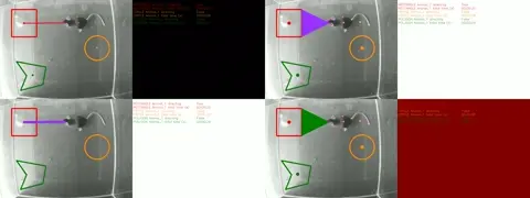 Directing ROI visualizer