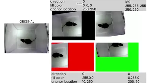 Egocentric video rotator