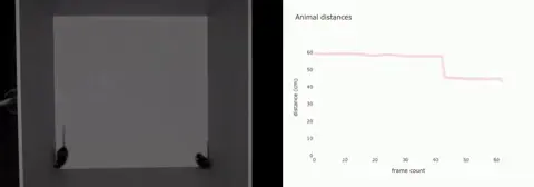 Horizontal video concatenator