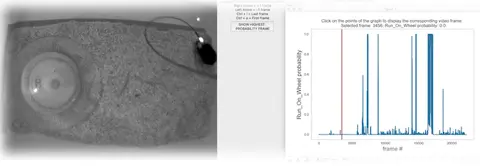 Interactive probability grapher