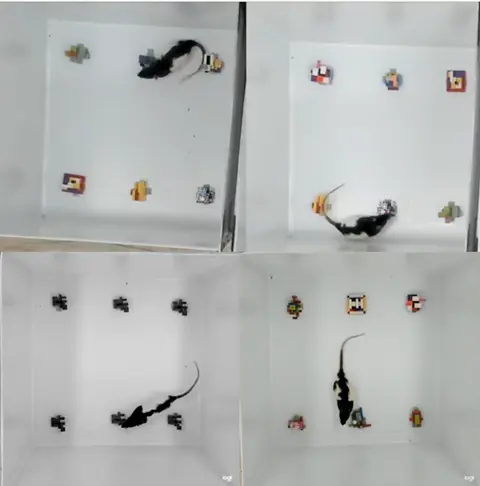 Mosaic concatenator