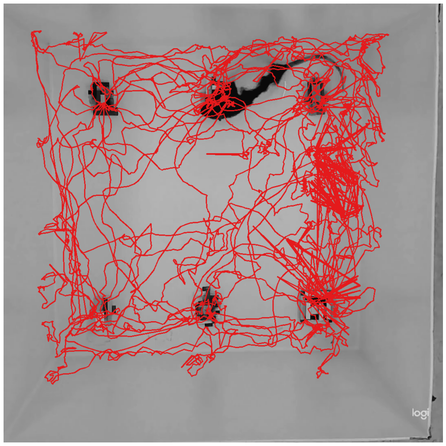 ../_images/nb_geometry_ex_3_7_0.png