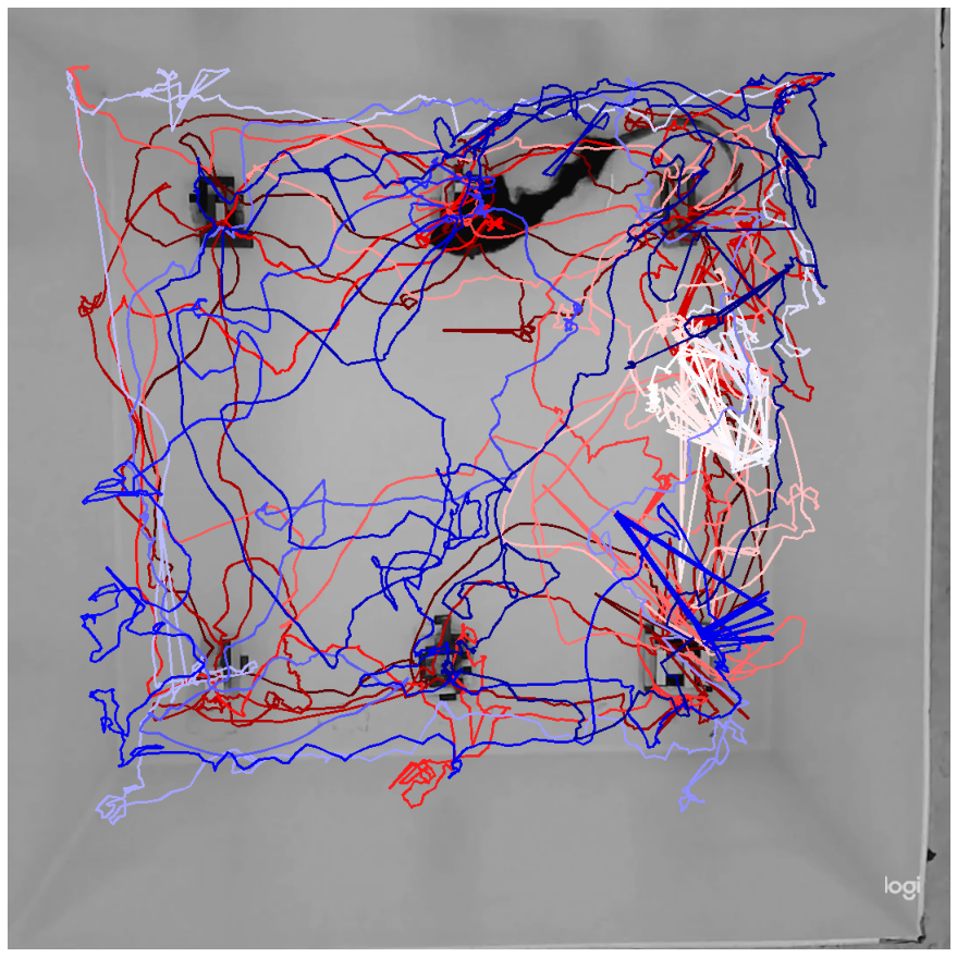 ../_images/nb_geometry_ex_3_8_0.png