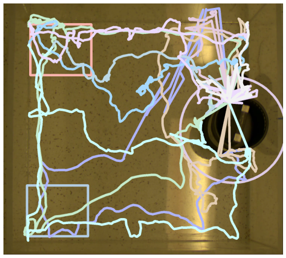 ../_images/nb_geometry_example_6_8_0.png