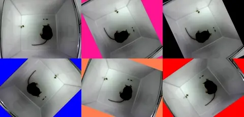 Rotate video