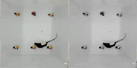 Batch video to greyscale