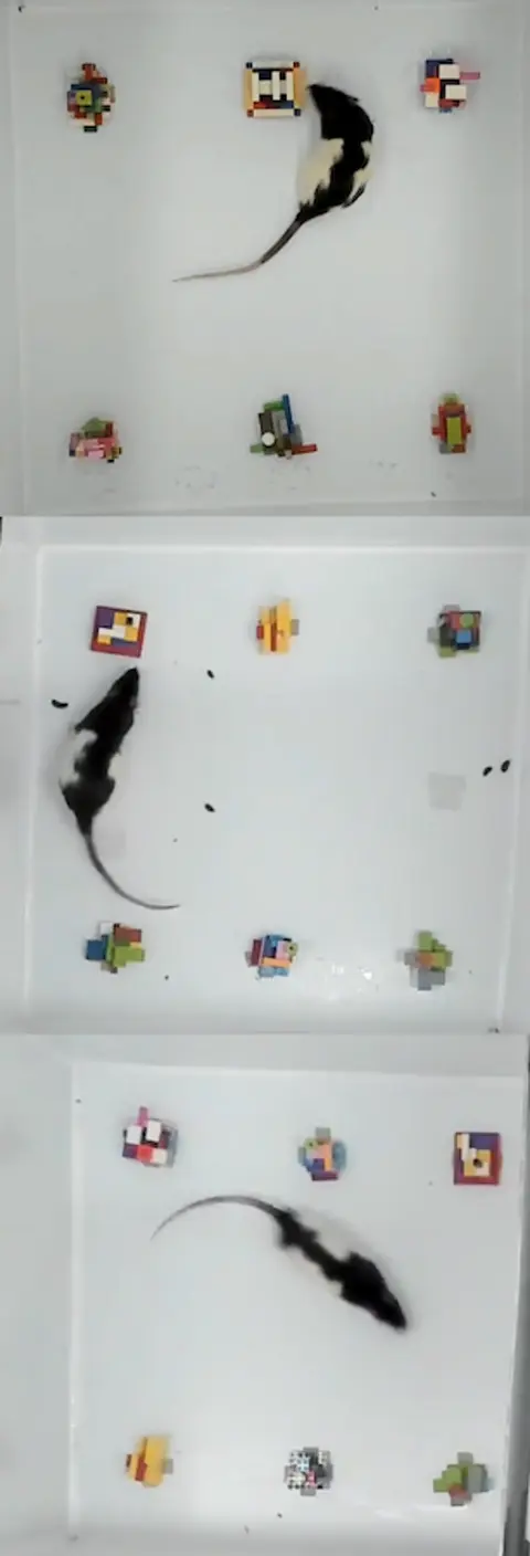Vertical video concatenator