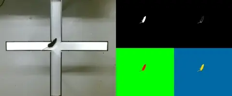 Video background subtraction