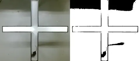 Video to BW