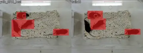 YOLO model comparator