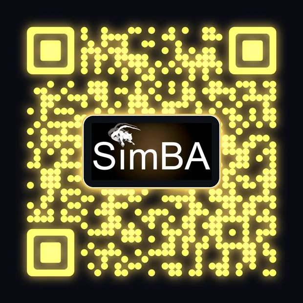 SimBA QR - Black + gold