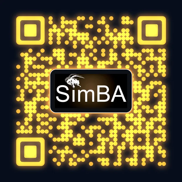 SimBA QR - Navy + amber