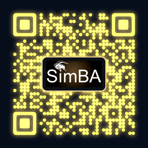 SimBA QR - Navy + gold