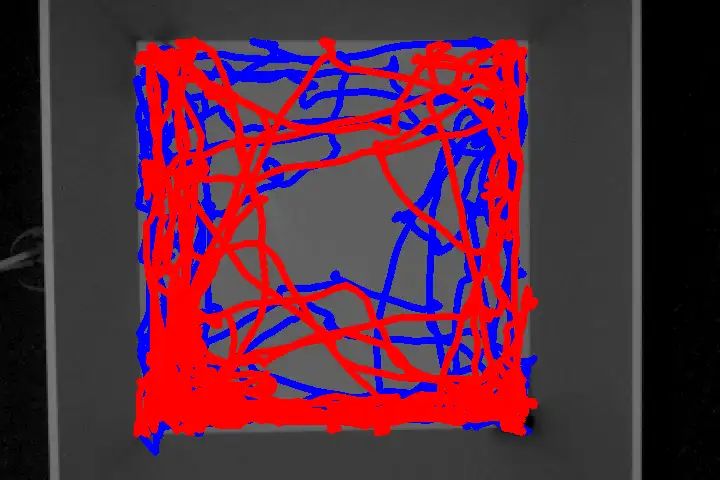 Path plot example 3