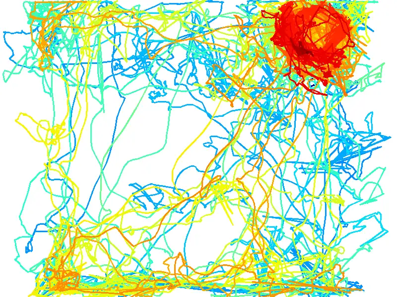 Path plot example 5