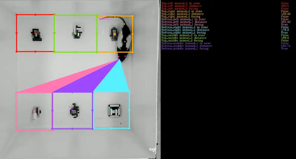 ROI features example 1