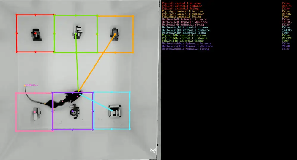 ROI features example 2